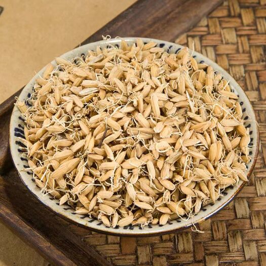 亳州初级农产品谷芽谷芽 稻谷芽 稻芽 可煲汤泡茶可食用