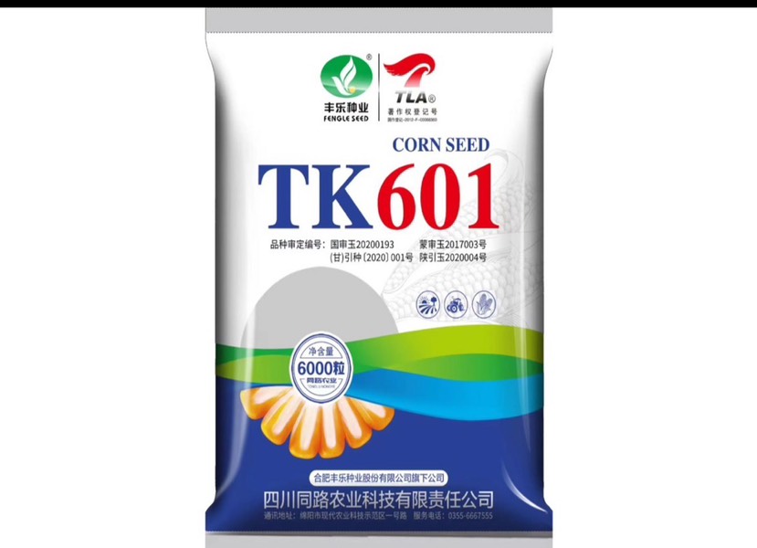 平泉市TK601玉米种子 轴细粒深、抗病抗斑、米质好耐密植活杆成熟