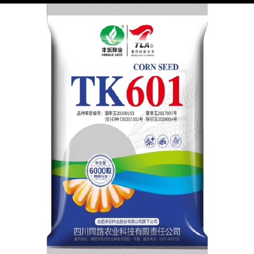 平泉市TK601玉米种子 轴细粒深、抗病抗斑、米质好耐密植活杆成熟