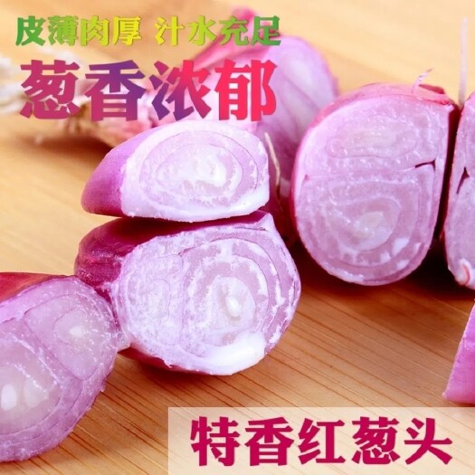 翁源县红葱头晒干整箱180元发货精选无芽农家精晒2个月适合留种送礼