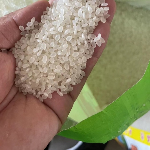 北京沈阳珍珠米