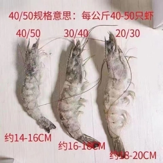 连云港4斤大虾批发，大虾鲜活，新鲜特大虾对虾基围虾大虾冷冻
