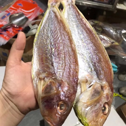 阳江一夜埕咸鱼干 阳江特色咸鱼 肉多刺少