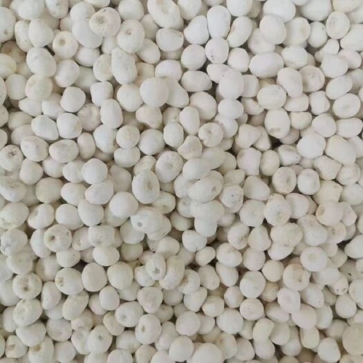 博野县生旱，清，法，姜，姜水，法水，