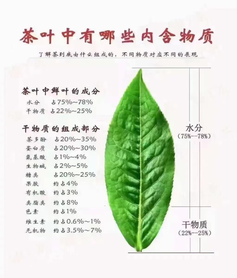 普洱茶易武刮风寨泠水河古树茶