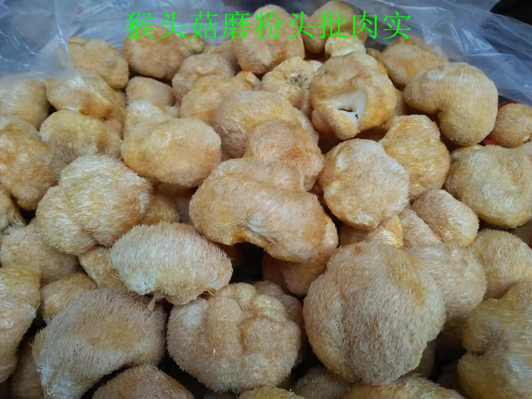 猴头菇粉100目规格手工机器磨粉医药厂食品加工厂原料批发