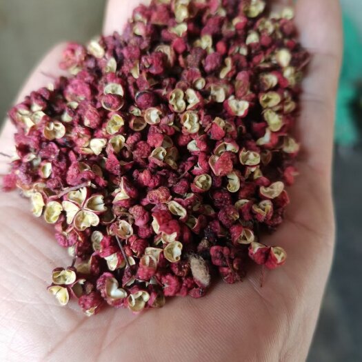 陇南武都花椒