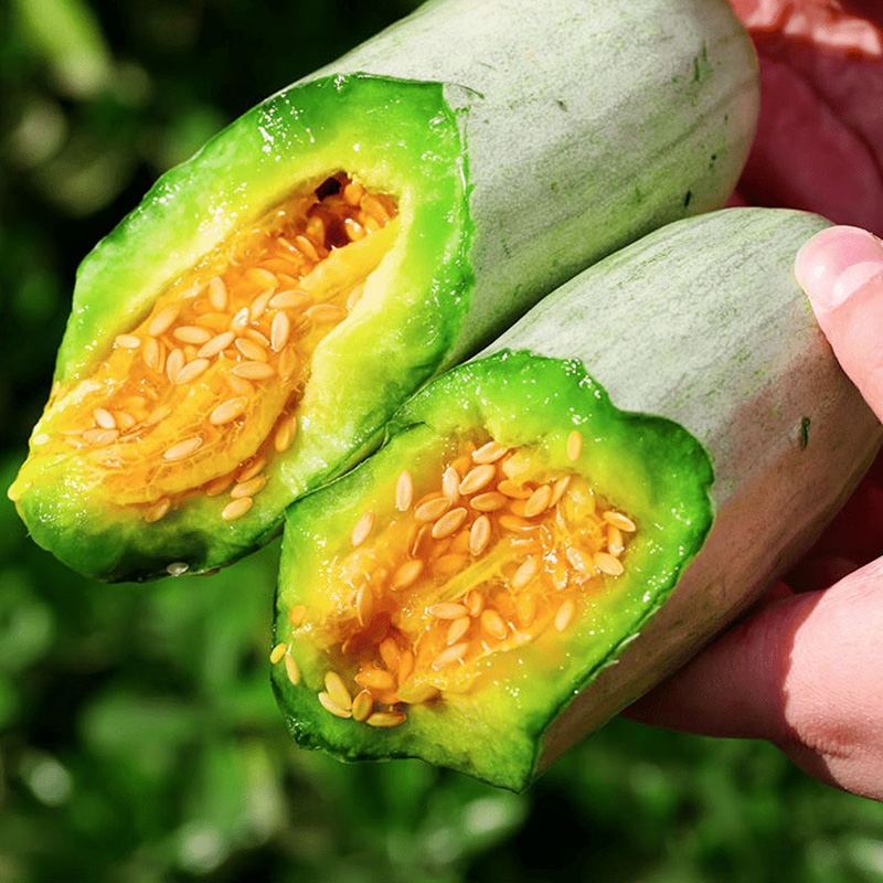 羊角蜜甜瓜种子羊角脆甜瓜种子甜蜜长香瓜种籽阳台盆栽庭院