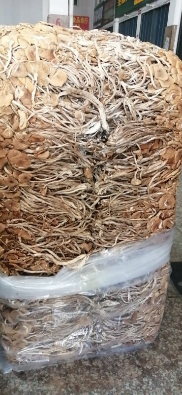 连云港新货质量有保证，产地直销