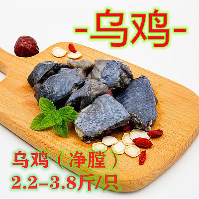 海口海口☀白乌鸡（净膛）全国发货/当日现杀/配送到店/屠场直销