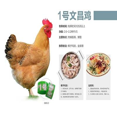 海口海南☀传味1号（净膛）全国发货/当日现杀/配送到店/屠场直销
