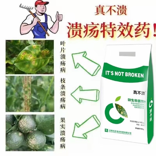 郑州真不溃果树柑橘脐橙溃疡病害专用杀菌剂木栓化穿孔微生物菌剂