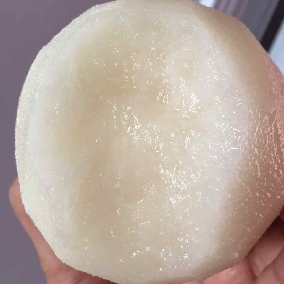 大减价大减价山东秋月梨脆甜多汁新鲜水果梨莱阳梨包邮