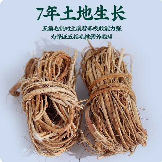 翁源县五指毛桃