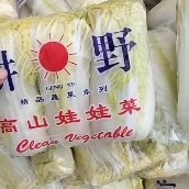 电商小娃娃菜黄心小娃娃菜三颗装娃娃菜河南产地直供发品质保证