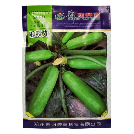 湘乡市西葫芦种子 玉娇龙耐低温产量高10克