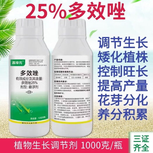 25%多效唑控旺剂悬浮剂矮化控旺控制生长调节剂多效唑农药