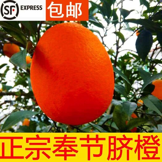 奉节奉节长虹纽荷尔产地直供，礼盒包装20斤大果