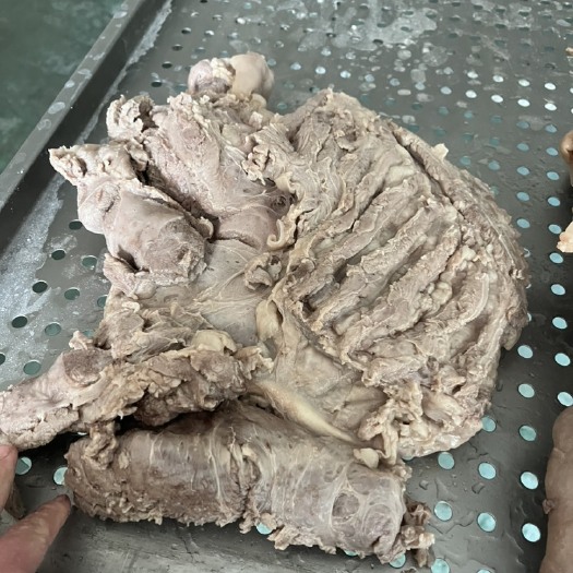 阳信县清水煮带皮熟羊肉，去皮熟羊肉