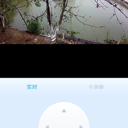 保山鲤鱼鲫鱼