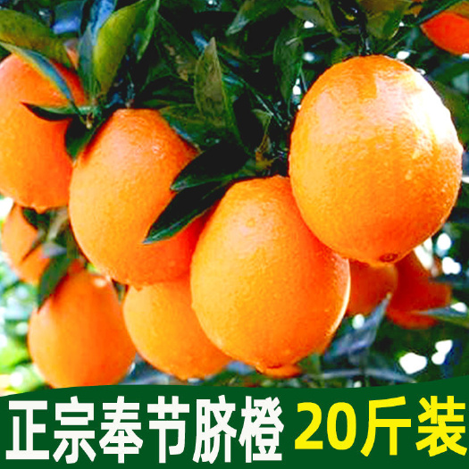 奉节奉节长虹纽荷尔产地直供20斤中果