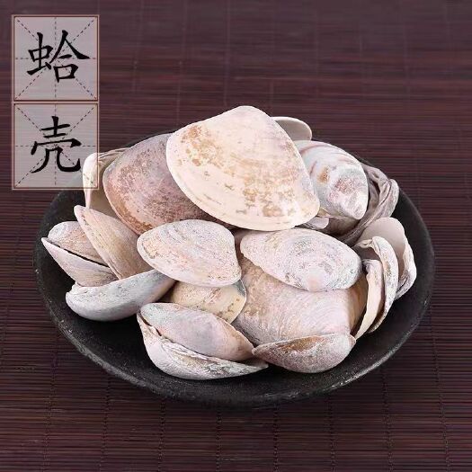 蛤壳 海蛤壳 海哈壳 非煅海蛤壳 中药材 蛤壳个 整个蛤壳