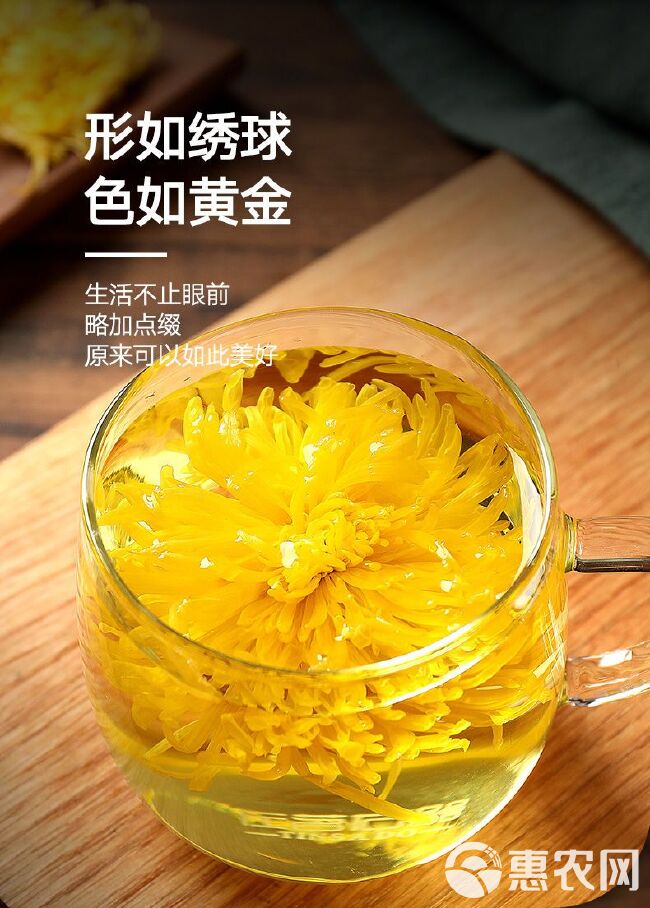 金丝皇菊一朵一杯超大朵500克/袋250克菊花茶黄菊花花草茶