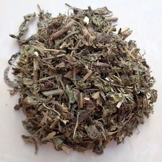 亳州元宝草元宝草对月草小对叶草铁角凤尾草元包草包邮