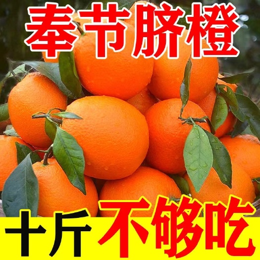 奉节重庆奉节纽荷尔10斤装中果产地直发