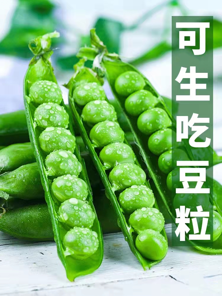 宜良县云南露天种植新鲜豌豆现货发货