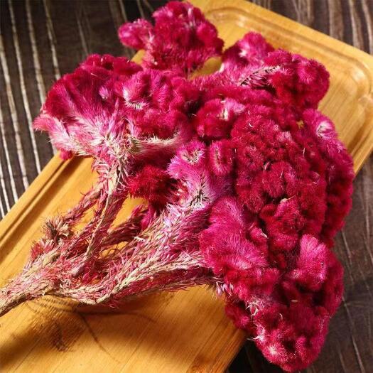 鸡冠花鸡冠花鸡冠花鸡髻花干花鸡冠花干货鸡冠花