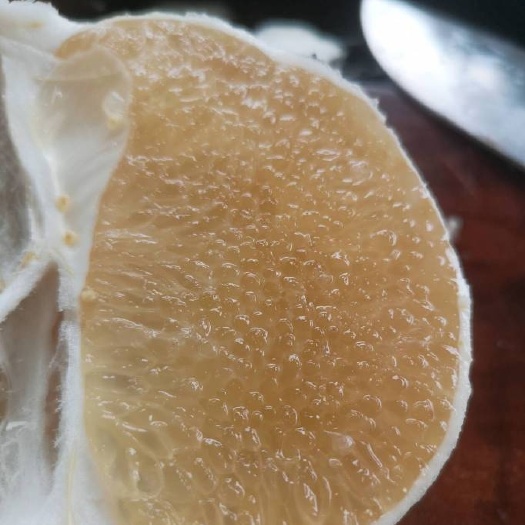 琼海市泰国蜂蜜柚  泰国白蜜柚。嫁接苗。