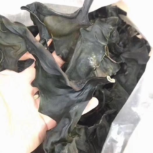 南澳县纯淡干海带头。泡发率会比普通海带好，泡好后的海带头会更厚，更