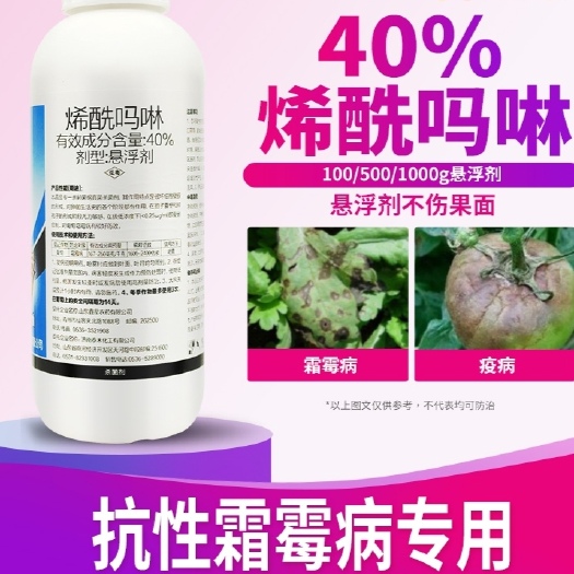 潍坊40%烯酰吗啉悬浮剂黄瓜蔬菜莴苣霜霉病疫病黑胫病农药杀菌