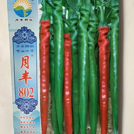 兴国县新一代辣椒种子
