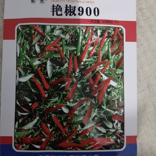 重庆市艳椒900
