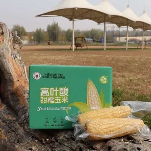 莱西市高叶酸玉米