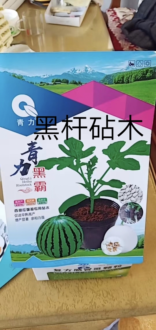 西瓜砧木嫁接西瓜种易管理抗病性强抗裂糖度比其它增加1度口