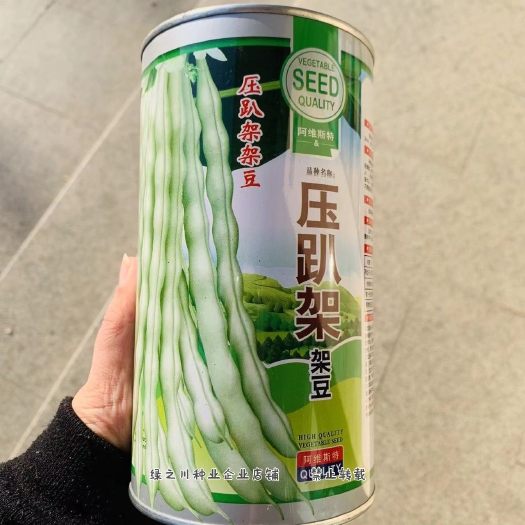 大田用种阿维斯特压趴架架豆种子 优质菜豆种子早熟白色豆角种籽