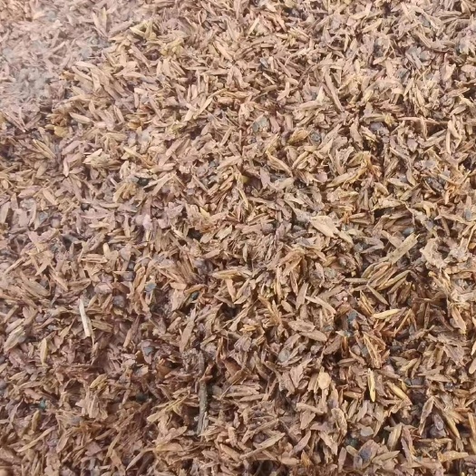 石家庄西风白酒糟