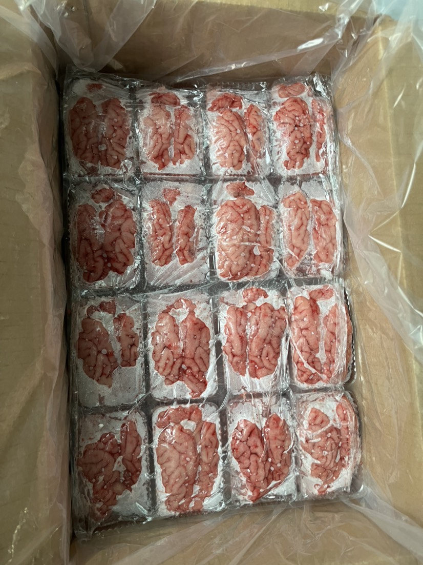 猪脑花，屠宰场直销￼，国产精品级货
