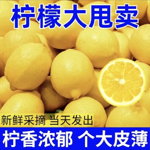 深圳安岳黄柠檬批发价新鲜柠檬批发价奶茶店非无籽薄皮酸柠檬新鲜水果