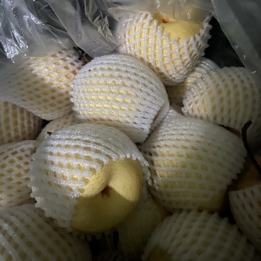 祁县祁县酥梨大量有货