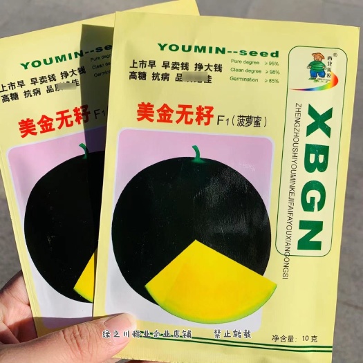沭阳县美金无籽菠萝蜜西瓜种子特甜黑皮黄瓤无籽西瓜种子籽早熟果皮薄韧