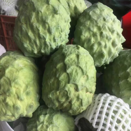 开平市牛奶释迦果 皮薄少籽 香甜可口 口感细滑