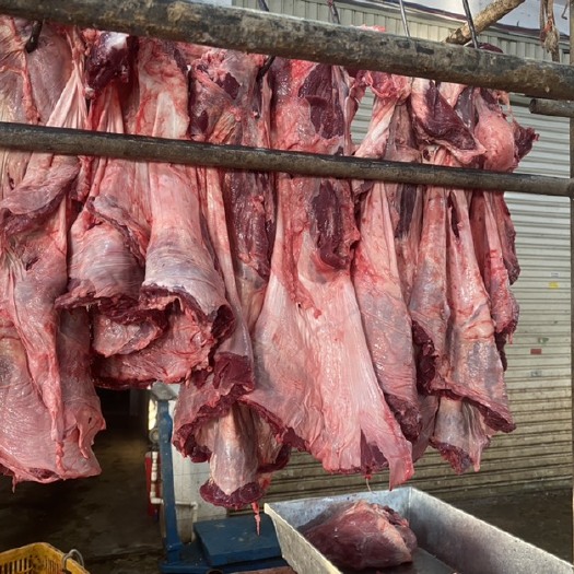 龙岩牛隔膜，罗肌肉。