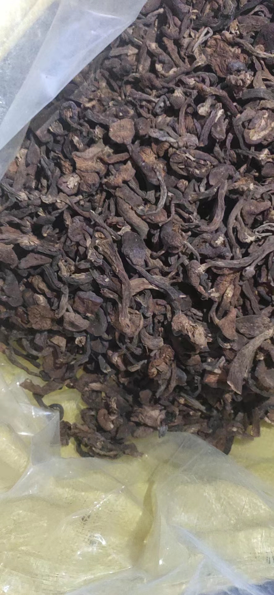 厂家直销东北榛蘑原产地批发东北特产小鸡炖蘑菇