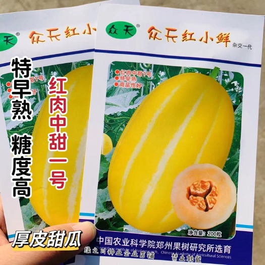 沭阳县众天红小鲜 特早熟厚皮甜瓜种子红肉中甜1号黄金道香瓜种子甜脆