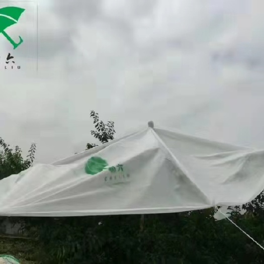 李子拒水布，防裂果，效果得到10万果农肯定。