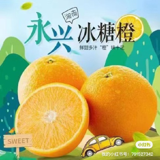 永兴县永兴冰糖橙，自家果园，招代理，一件代发